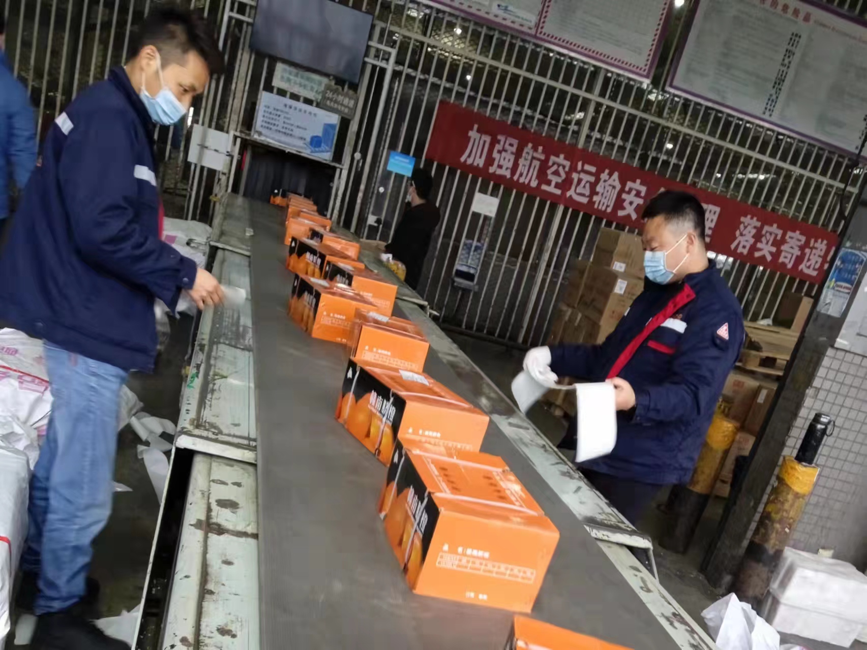 200件1200KG水果橘子空運至杭州