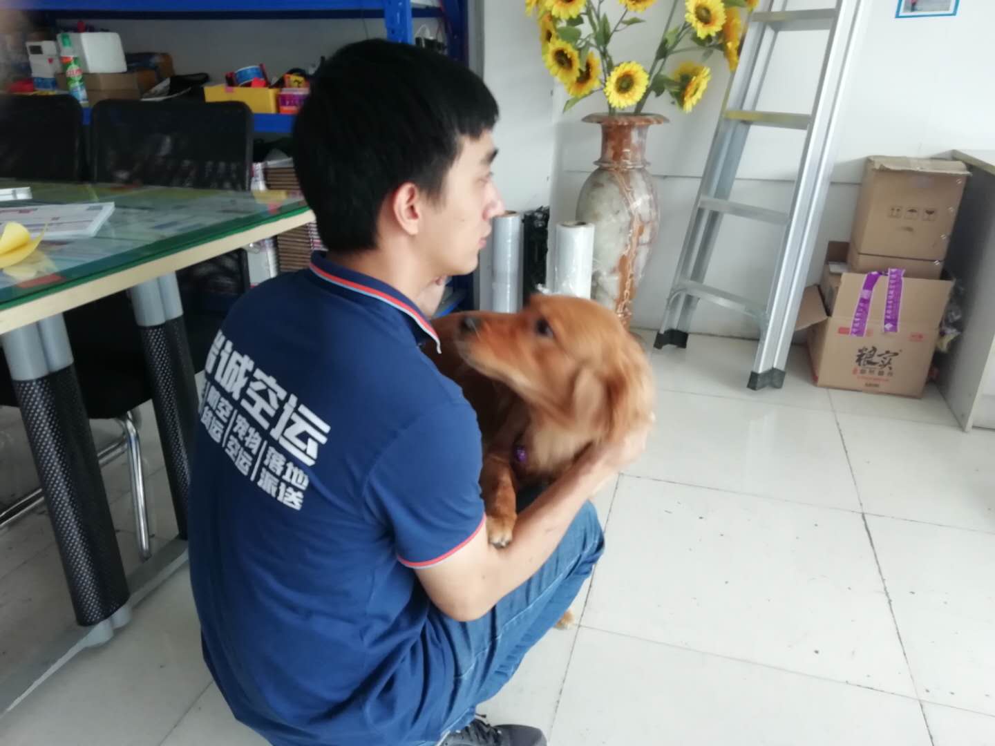 寵物航空托運全攻略