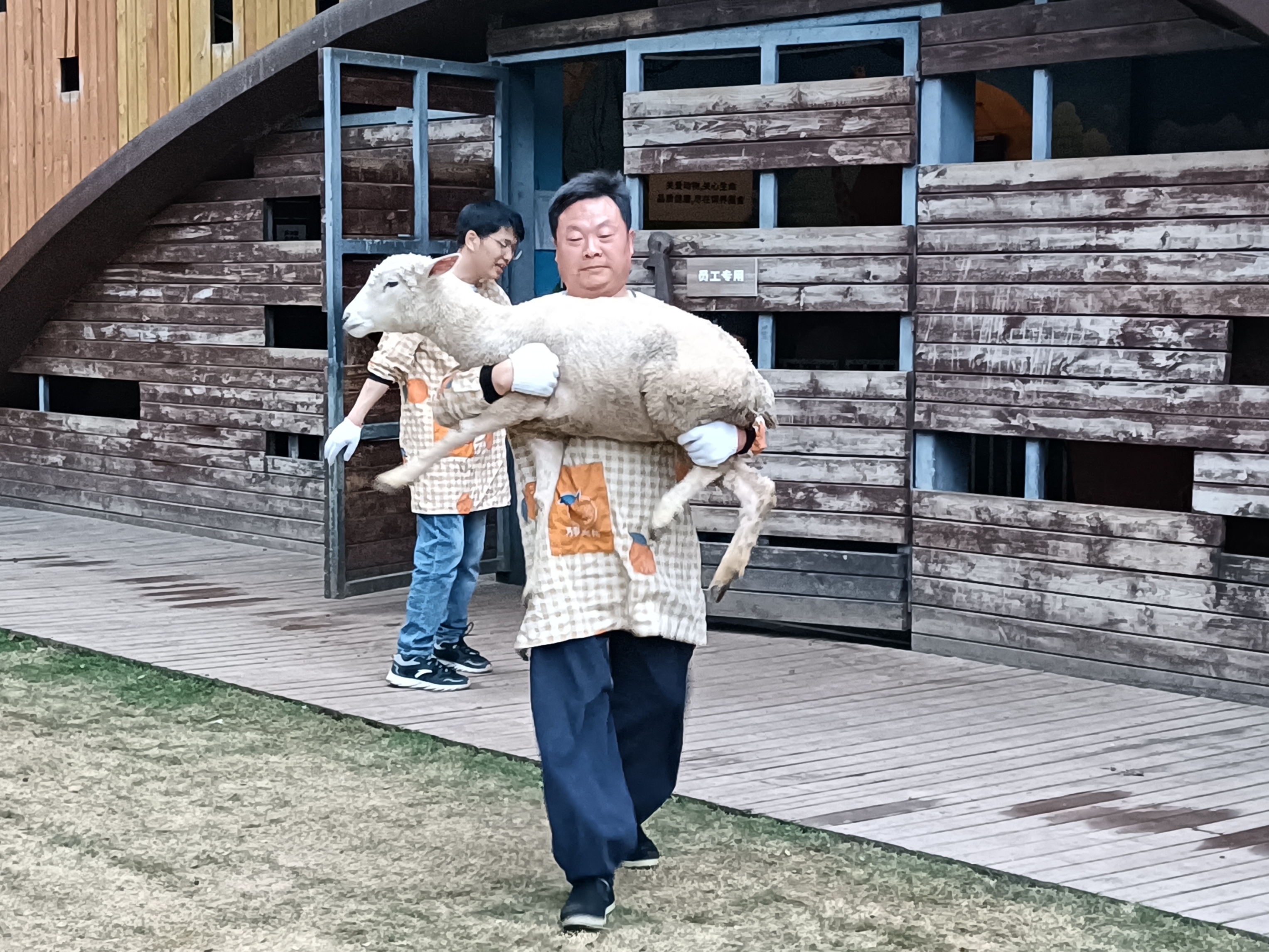 【成都麓客島——動物專車運輸】