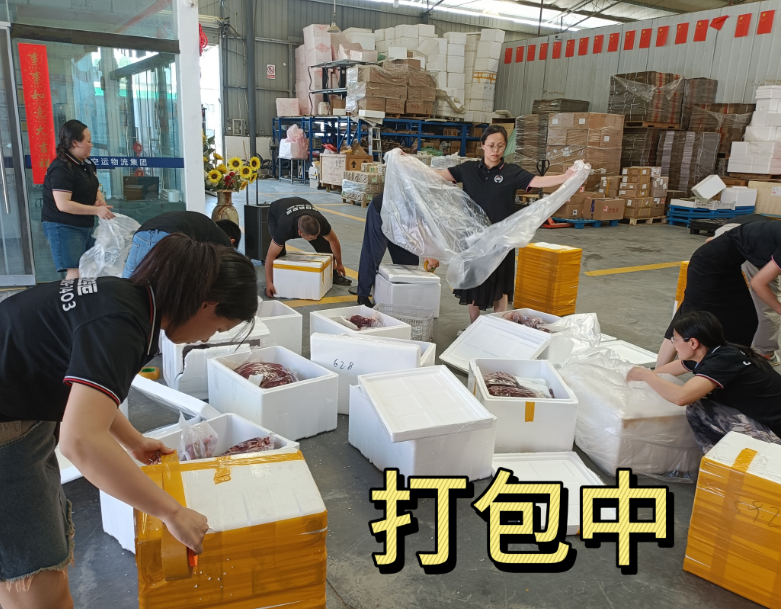 20250620deda91bd8db5d300f254c4cd0d994790.png
